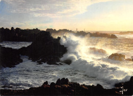 29-OUESSANT-N°4005-C/0363 - Ouessant