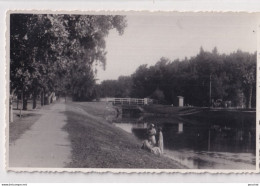 X1- ISMAILIA - EGYPT - EGYPTE - CARTE PHOTO - CANAL D'EAU DOUCE - ROUTE DE L' HOPITAL - ( 2 SCANS ) - Ismailia