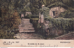 Y19- BUSSACO - ERMIDA DE S. JOSE - (LISBOA M.I.R.) N° 767  - ( 2 SCANS )   - Aveiro