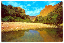 CPSM 9 X 14 Algérie EL KANTARA Les Gorges - Autres & Non Classés