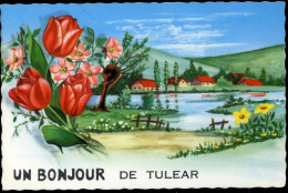 UN BONJOUR DE TULEAR PICARD - Madagascar