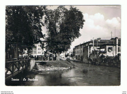 TREVISO:  LA  PESCHERIA  -  CENNO  DI  PIEGA  -  FOTO  -  FG - Halles