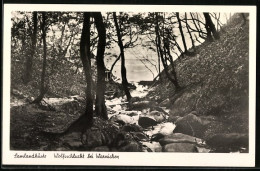 AK Warnicken, Wolfsschlucht An Der Samlandküste  - Ostpreussen