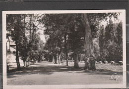 48 - MARVEJOLS - Promenade De L' Esplanade - Marvejols