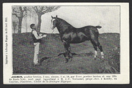 CPA Hippisme Cheval Horse Bretagne Attelage Non Circulé Kerilly Finistère - Paardensport