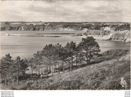 V6-22) BINIC -  VUE PRISE DES FALAISES DE LA RONIOUSE  - ( 2 SCANS ) - Binic