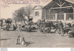 X3- SETIF (ALGERIE) LE MARCHE AUX GRAINS - ( ANIMATION - 2 SCANS ) - Sétif