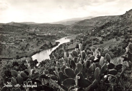 ITALIE - Sardegna - Invitation à La Sardaigne - La Rivière Tirso - Figuier De Barbarie - Carte Postale - Sassari