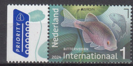 NETHERLANDS.2024 Europa CEPT.Underwater Flora And Fauna.Set 2 Stamps. MNH - 2024