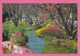 AK 215233 AUSTRALIA - Bowral - The Corbert Gardens - Altri & Non Classificati