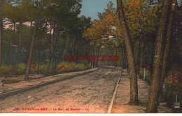 CPA CAYEUX SUR MER - LE BOIS DE SAPINS - LL - Cayeux Sur Mer