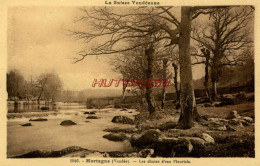 CPA MORTAGNE - (VENDEE) - LES CHUTES D'EAU FLEURIAIS - Mortagne Sur Sevre