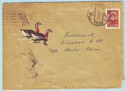 USSR 1962.0927. Red-breasted Goose (Branta Ruficollis). Prestamped Cover, Used - 1960-69