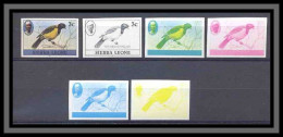 Sierra Leone BLACK HEADED ORICLE Oiseaux (bird Birds Oiseau) Essai (proof) Non Dentelé Imperf ** MNH - Andere & Zonder Classificatie