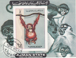 Ajman 1973  Young Bornean Orangutan (Pongo Pygmaeus) - Monkey  Ape Sheet Imperf. CTO - Ferme