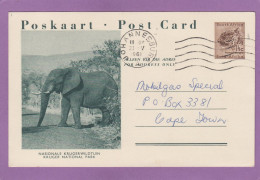ENTIER POSTAL  KRUGER NATIONAL PARC, ELEPHANT, 1961. - Lettres & Documents