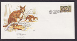 Australien Fauna Parma Wallaby Kängeruh Schöner Künstler Brief - Collezioni