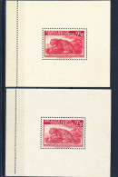 BELGIAN CONGO LEOPARD COB BL6  AND 100 MNH - Unused Stamps