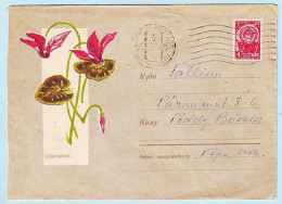 USSR 1963.0425. Cyclamen. Prestamped Cover, Used - 1960-69