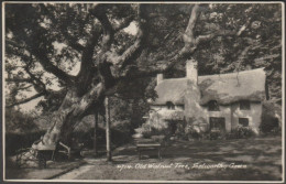 Old Walnut Tree, Selworthy Green, Somerset, C.1950 - Sweetman RP Postcard - Andere & Zonder Classificatie