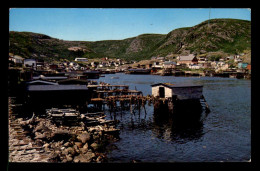 CANADA - PETTY HARBOUR - Altri & Non Classificati