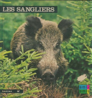 Les Sangliers (1975) De Anne-Marie Pajot - Animaux