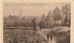 STRIJTEM  PANORAMISCH LANDSCHAP - Roosdaal