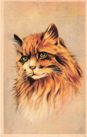 ILLUSTRATEURS - S29316 - Portrait D'un Chat - 1900-1949