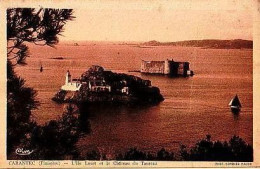 Carantec   P33   CPA 9X14          L'île Louet Et Le Château Du Taureau - Carantec