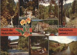 71709479 Wutachschlucht Schwarzwald Stalleggerbruecke Schattenmuehle Wutachmuehl - Da Identificare