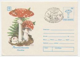 Postal Stationery Romania 1994 Mushroom - Paddestoelen