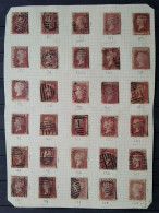 GB VICTORIA 1864 Page Of 30 One Penny Red Various Plate Numbers - Usados