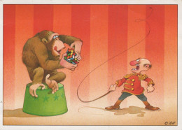 MONKEY Animals Vintage Postcard CPSM #PAN992.A - Monos