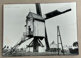 HERSELT - Nieuwe Molen - 14,5 X 10,5 Cm. (REPRO PHOTO !) - Lieux