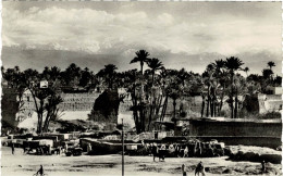 MARRAKECH - Un Coin à BAB DOUKKALA - Photo Bertrand, Marrakech - Voyagée 1950 - Marrakech