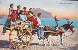Italy PPC Caretto Siciliano Donkey Cart Attelage Ane SALERNO 1927 Denmark (2 Scans) - Other & Unclassified