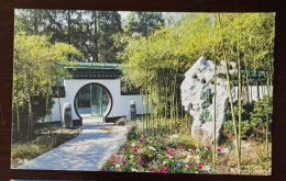 Bamboo Forest At Entrance,CN 03 Hangzhou Orchid Garden Important Orchid Cultivation Base Appreciation Destination PSC - Orchidées