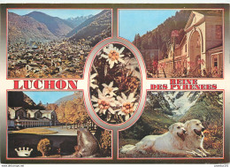 CPSM Luchon                          L2747 - Luchon