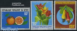 Benin 1990 Fruits & Flowers 3v, Mint NH, Nature - Flowers & Plants - Fruit - Ungebraucht