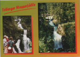 64443 - Triberg - Triberger Wasserfälle - Ca. 2000 - Triberg