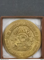 Luxembourg Médaille, Ministère De L'éducation Physique Et Sports, Champion 1982. Natation - Altri & Non Classificati