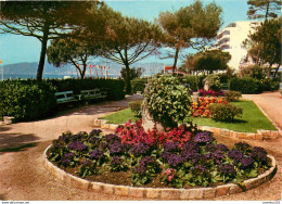 CPSM Juan Les Pins                L2763 - Juan-les-Pins