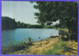 Carte Postale 70. Melisey  L'étang De La Fédération   Très Beau Plan - Mélisey