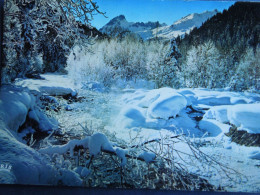 Montagne    Torrent Des Neiges    CP240413 - Altri & Non Classificati