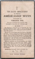 Bidprentje Temse - Weyn Amédé Jozef (1863-1946) - Devotion Images