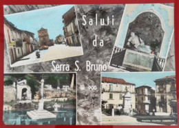 CPA Non Circulée - MULTIVISTA - ITALIA - CALABRIA, SALUTI DA SERRA S. BRUNO - Vibo Valentia