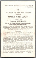 Bidprentje Tielen - Van Looy Maria (1863-1951) - Devotion Images