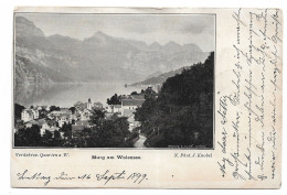 Postcard Switzerland SG St Galen Murg Am Walensee Undivided Back Ambulant Railway Travelling Post Office Posted 1899 - Sonstige & Ohne Zuordnung