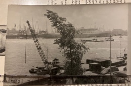 Réal Carte Photo -  Bateaux ,Ship ,Navire Cargo Docks - Schiffe