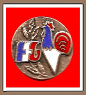 SUPER PIN'S "COQ De LA FEDERATION FRANCAIS De GYMNASTIQUE En Email Cloisonné,diamètre - Ginnastica